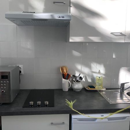 فيشي Villa Camelia Grand Studio Quartier Thermal المظهر الخارجي الصورة